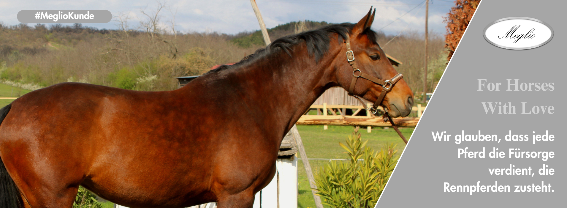 Meglio Horse - Lótápok és étrendkiegészítők természetesen