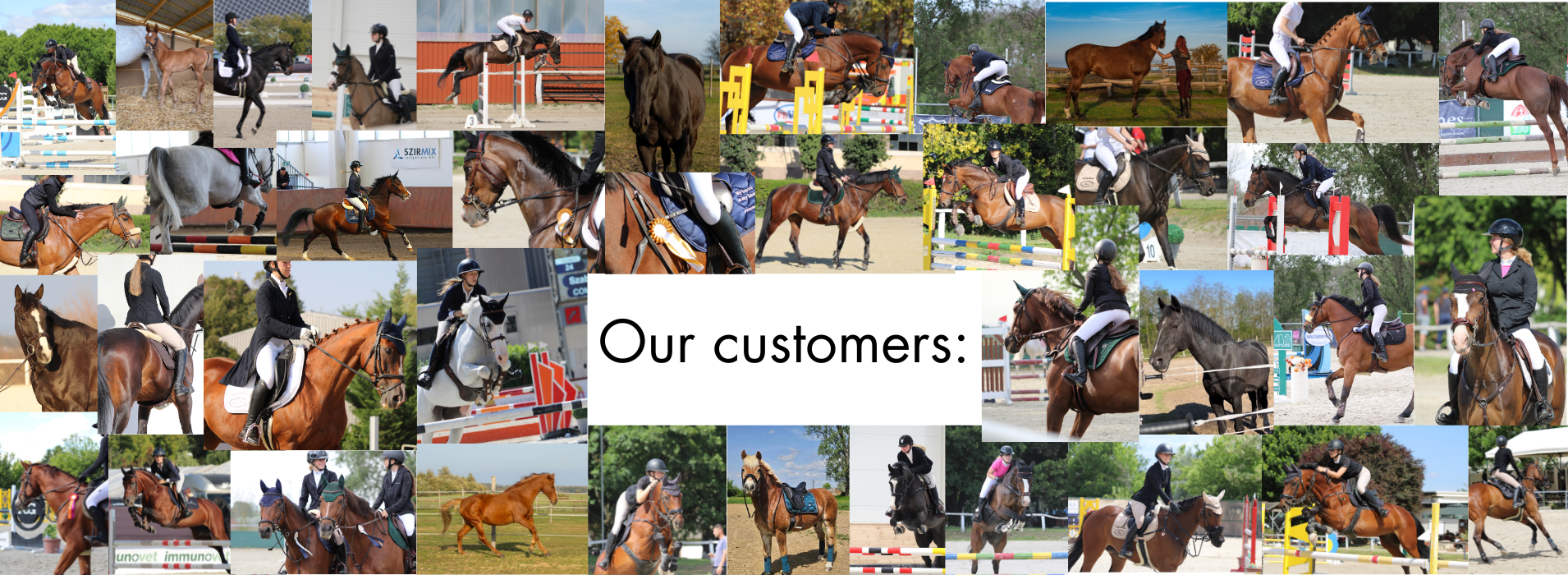 Meglio Horse - Horse feeds and natural supplements for horses