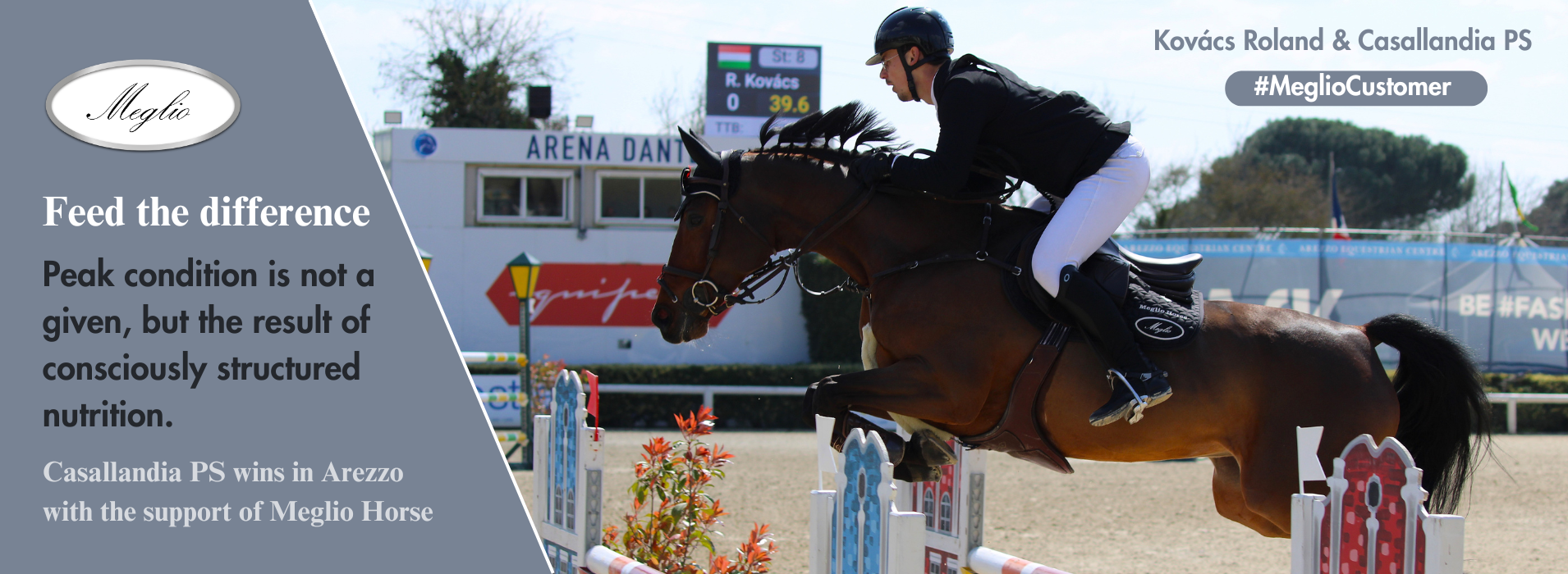 Meglio Horse - Horse feeds and natural supplements for horses