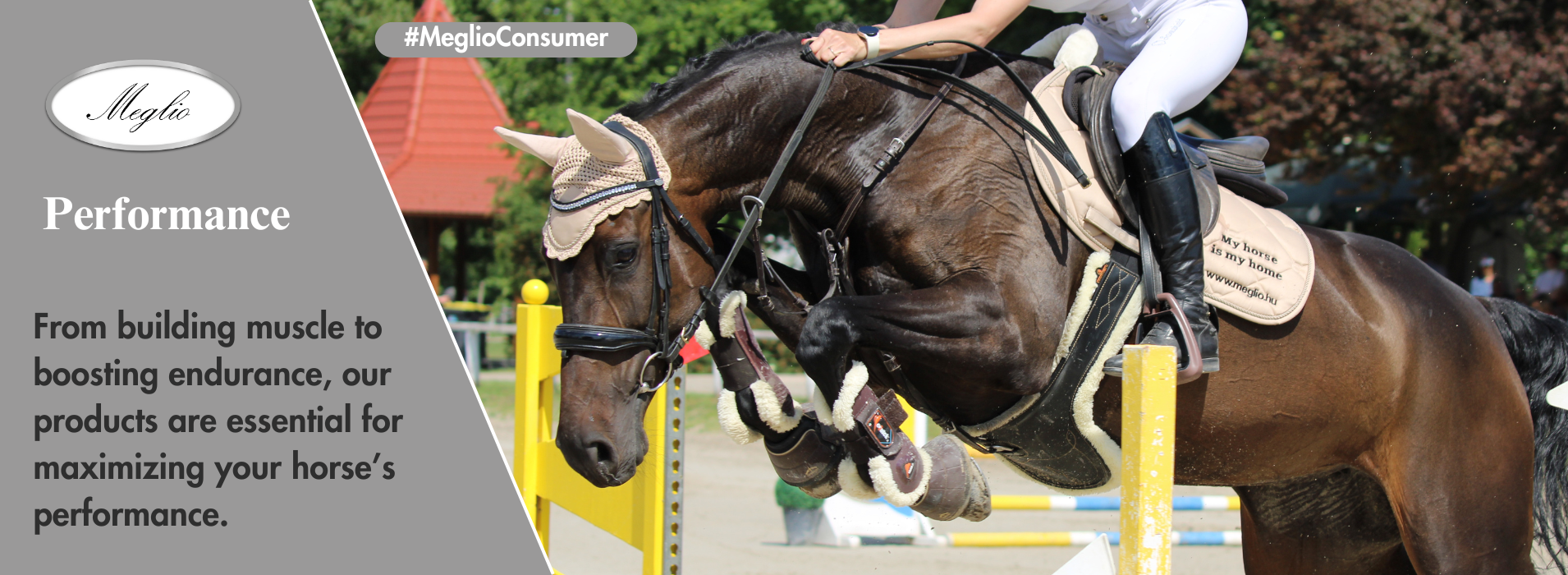 Meglio Horse - Horse feeds and natural supplements for horses