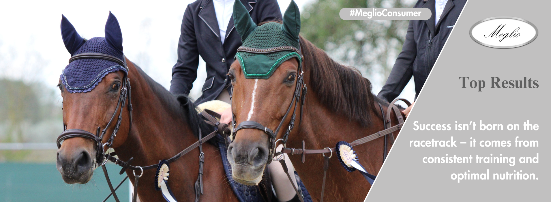 Meglio Horse - Horse feeds and natural supplements for horses