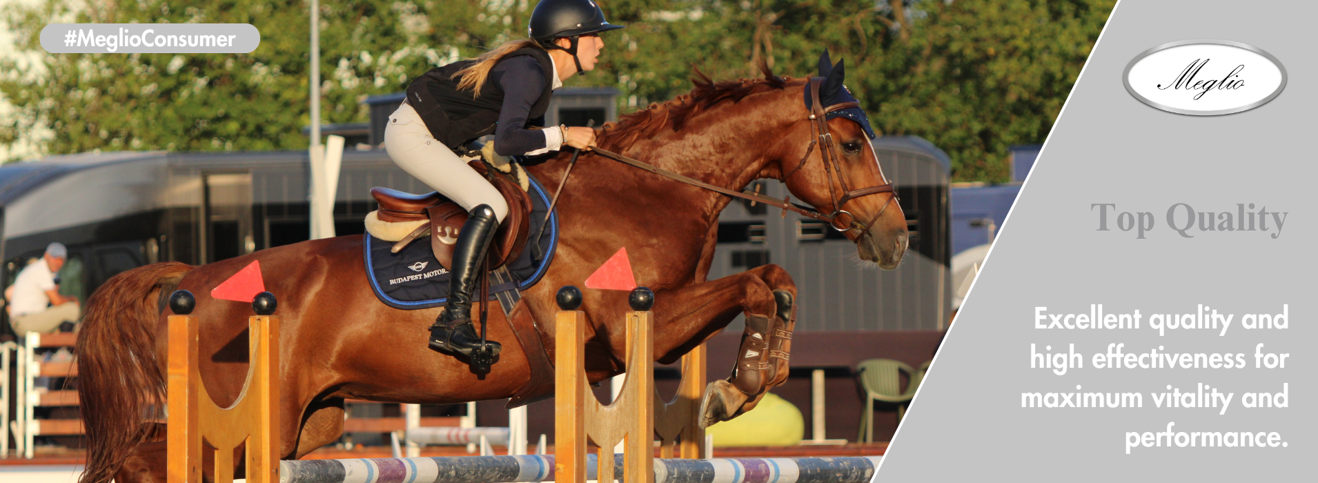 Meglio Horse - Horse feeds and natural supplements for horses