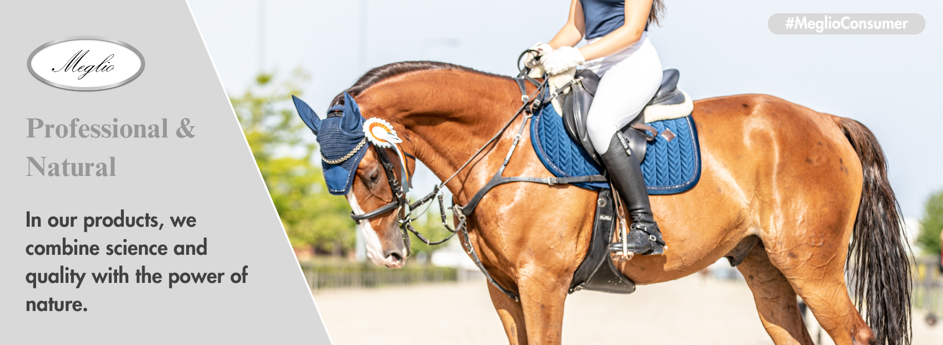 Meglio Horse - Horse feeds and natural supplements for horses