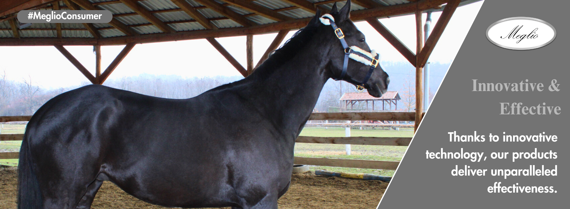 Meglio Horse - Horse feeds and natural supplements for horses