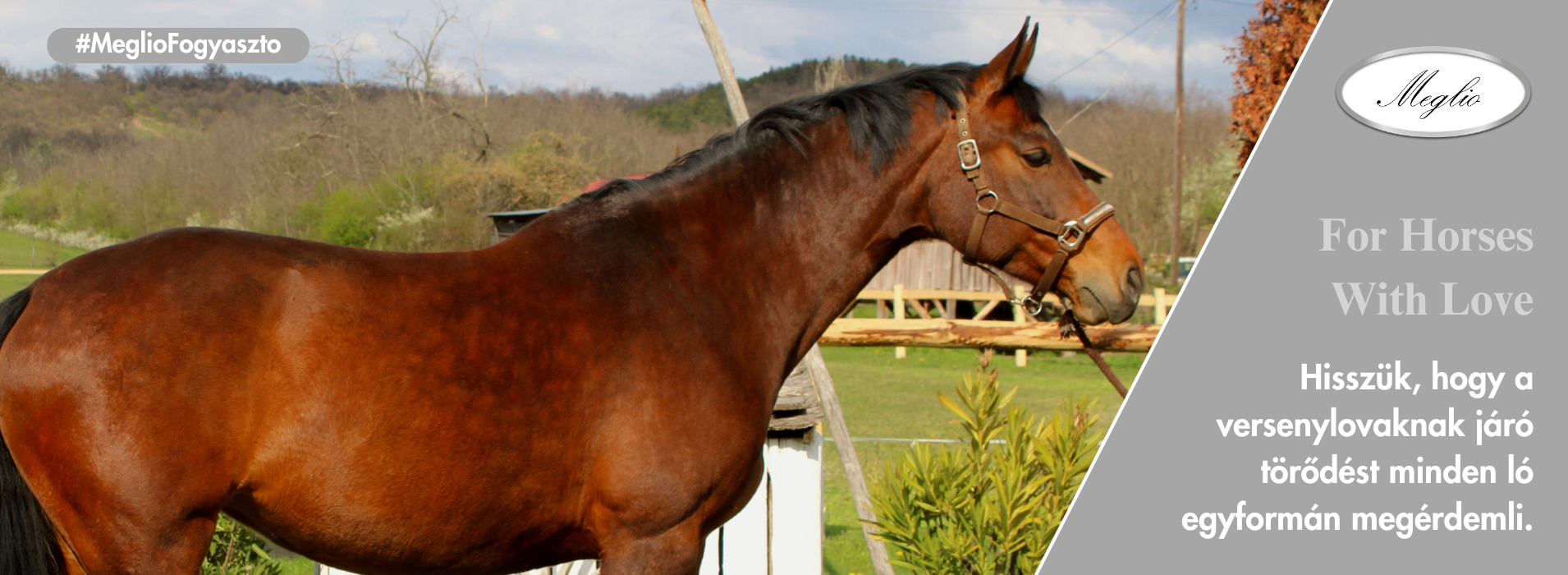 Meglio Horse - Lótápok és étrendkiegészítők természetesen