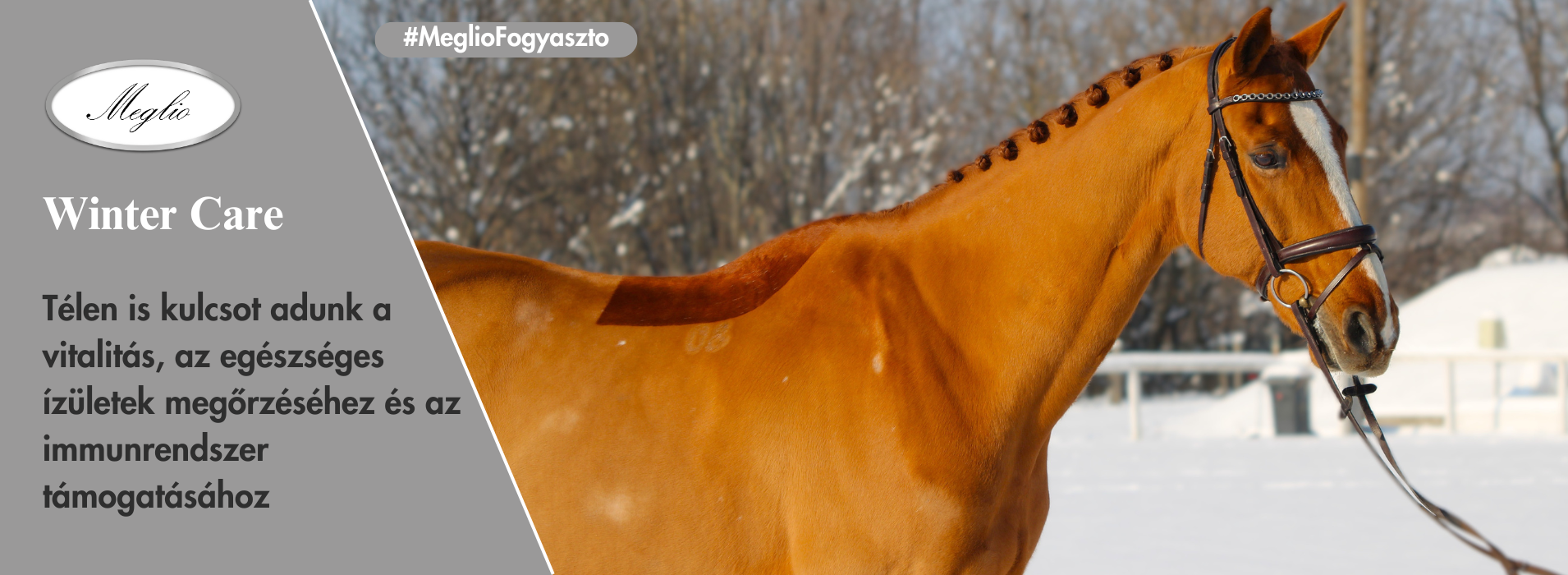 Meglio Horse - Lótápok és étrendkiegészítők természetesen
