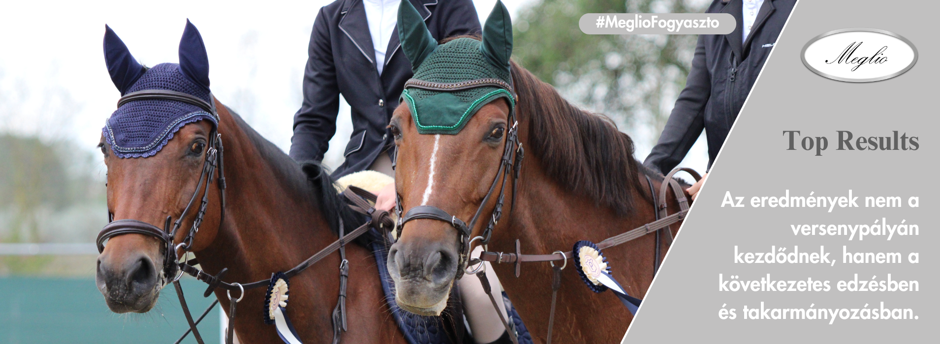 Meglio Horse - Lótápok és étrendkiegészítők természetesen