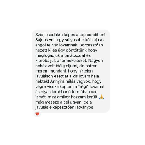 Meglio Horse - Lótápok és étrendkiegészítők természetesen