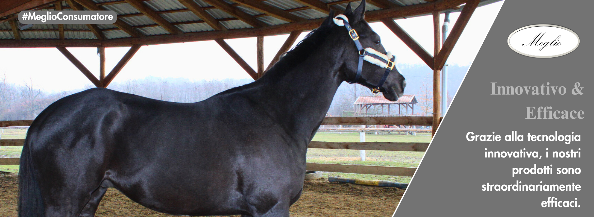 Meglio Horse - Lótápok és étrendkiegészítők természetesen