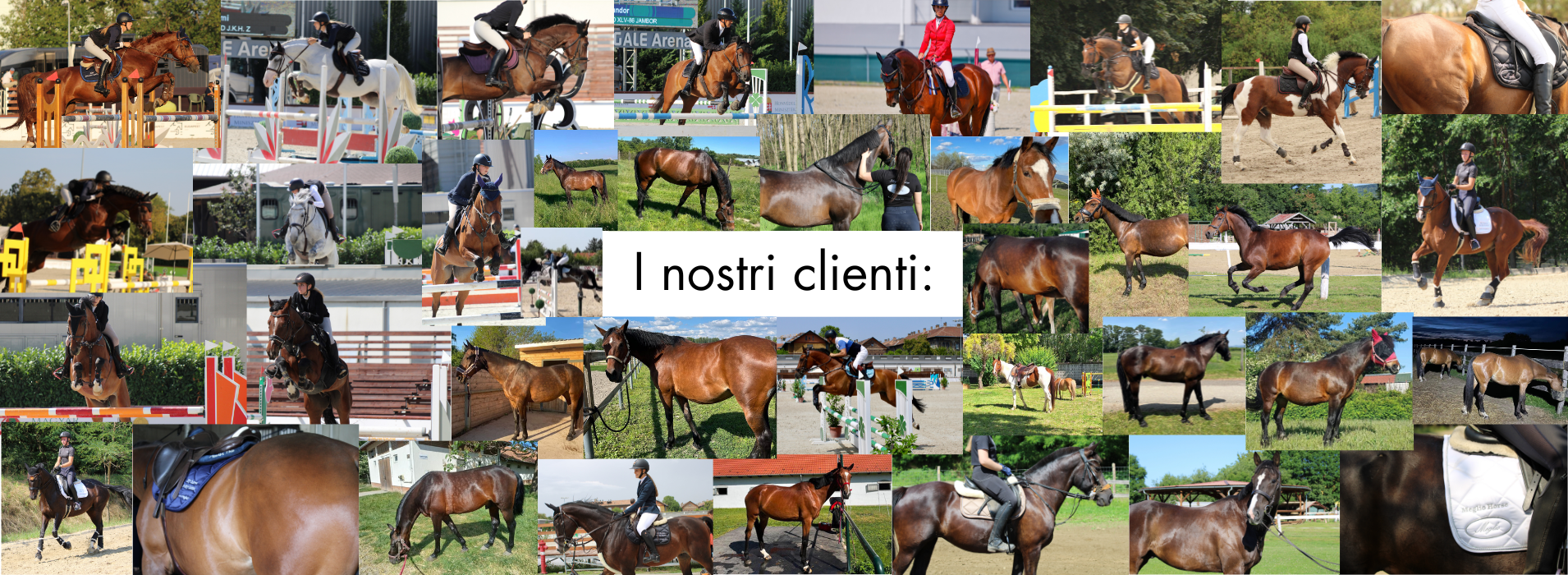 Meglio Horse - Lótápok és étrendkiegészítők természetesen