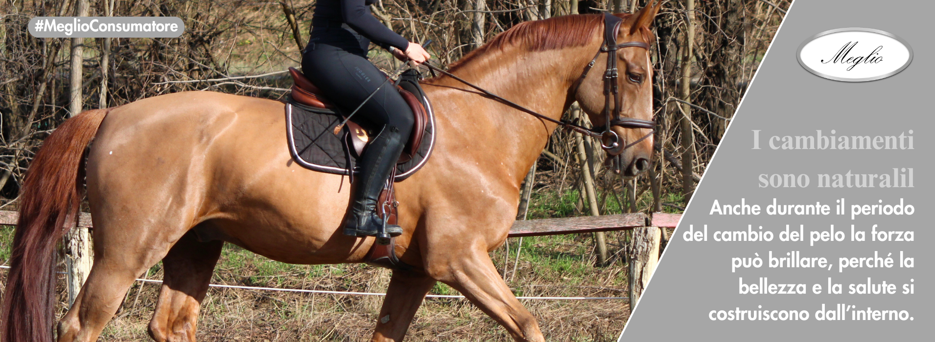 Meglio Horse - Lótápok és étrendkiegészítők természetesen