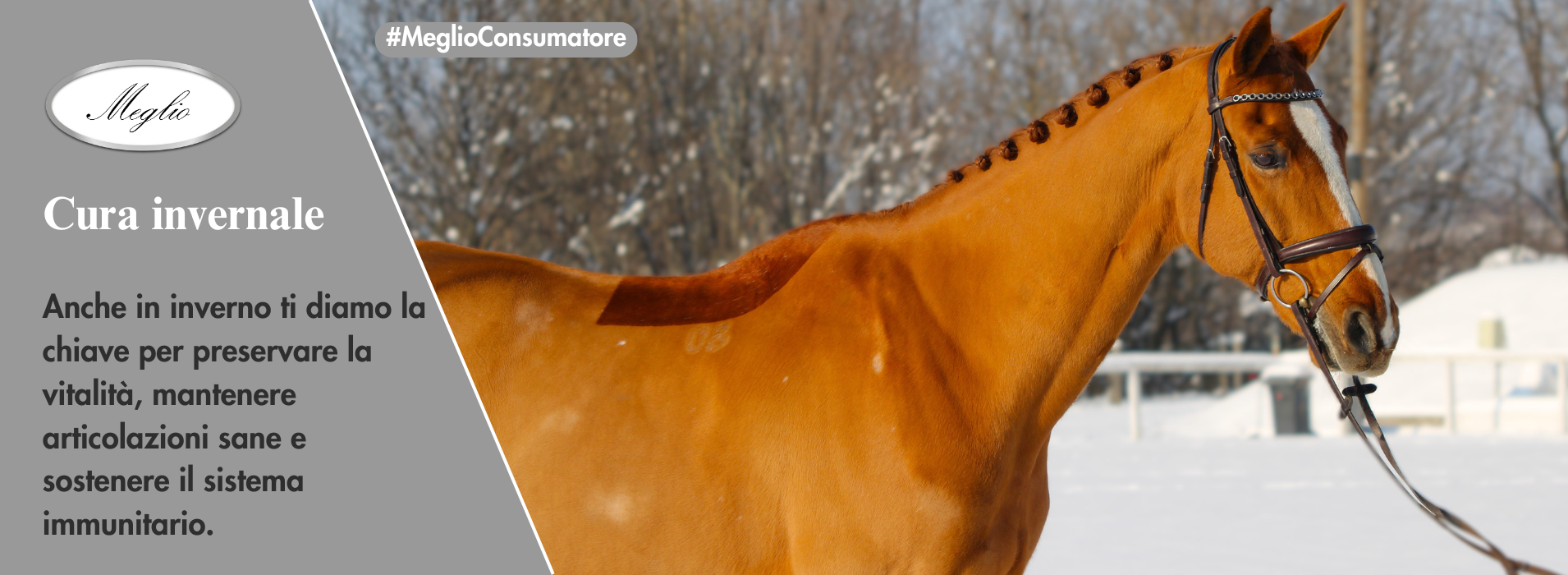 Meglio Horse - Lótápok és étrendkiegészítők természetesen