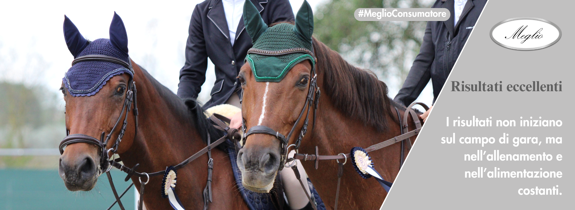 Meglio Horse - Lótápok és étrendkiegészítők természetesen