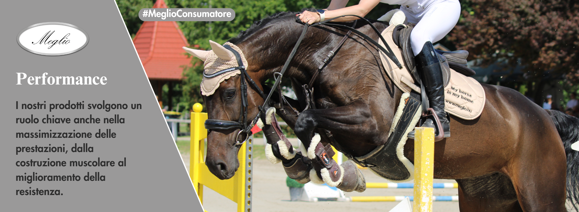 Meglio Horse - Lótápok és étrendkiegészítők természetesen