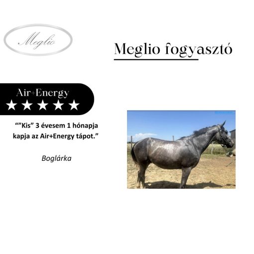 Air+Energy Premium Airway Cleaner Sporthorse Feed 20 kg