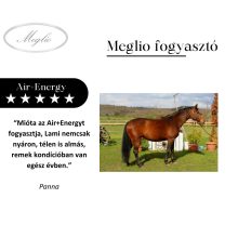 Air+Energy Premium Airway Cleaner Sporthorse Feed 20 kg