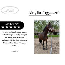Air+Energy Premium Airway Cleaner Sporthorse Feed 20 kg