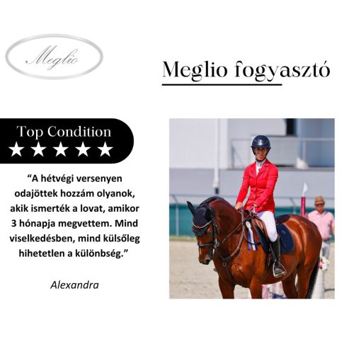 Top Condition Premium Sporthorse Feed 20 kg