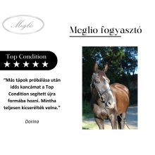 Top Condition Premium Sporthorse Feed 20 kg