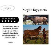 Top Condition Premium Sporthorse Feed 20 kg