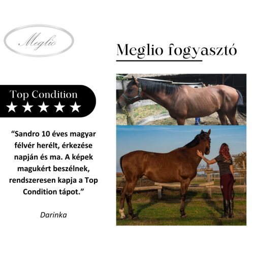 Top Condition Premium Sporthorse Feed 20 kg