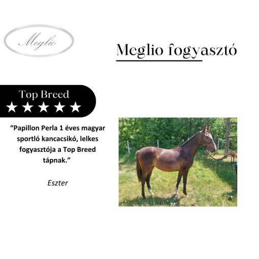 Top Breed Premium Foal-Mare Horse Feed 20 kg