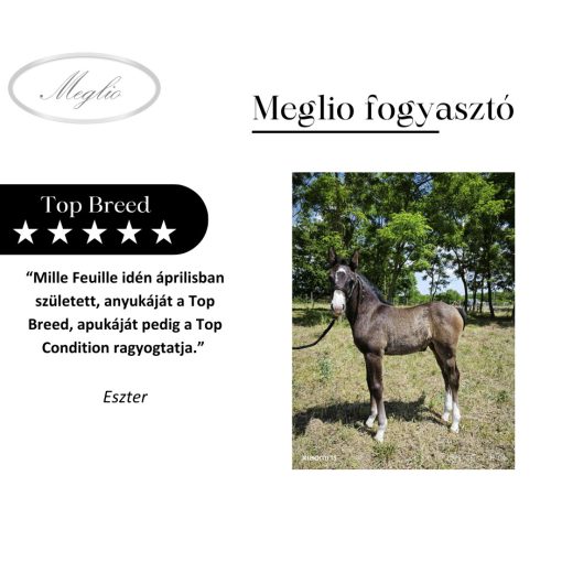 Top Breed Premium Foal-Mare Horse Feed 20 kg