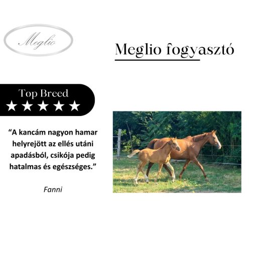 Top Breed Premium Foal-Mare Horse Feed 20 kg