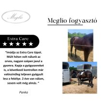 Extra Care Premium Gastric Support Horse Feed 20 kg