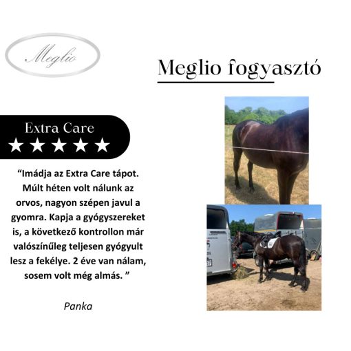 Extra Care Premium Gastric Support Horse Feed 20 kg