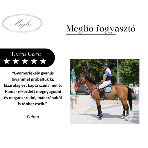Extra Care Premium Gastric Support Horse Feed 20 kg