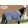 Meglio Fleece Horse Rug with Collar