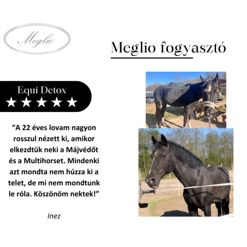 Equi-Detox protettore del fegato per cavalli 3 kg