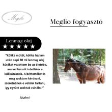 Hidegen Sajtolt Lenmag Olaj 5000 ml