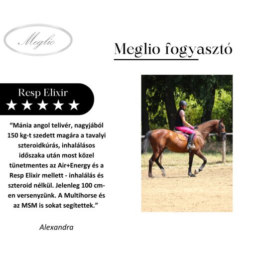 Resp Elixir légúttisztító lovaknak 500 g
