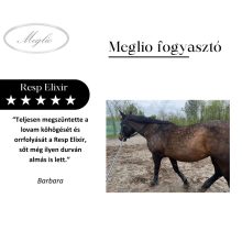 Resp Elixir légúttisztító lovaknak 500 g