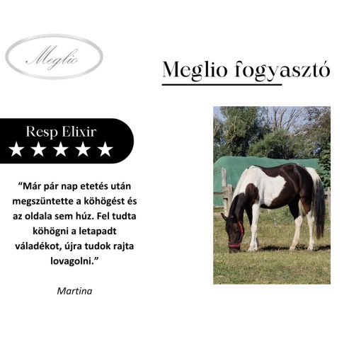 Resp Elixir légúttisztító lovaknak 500 g