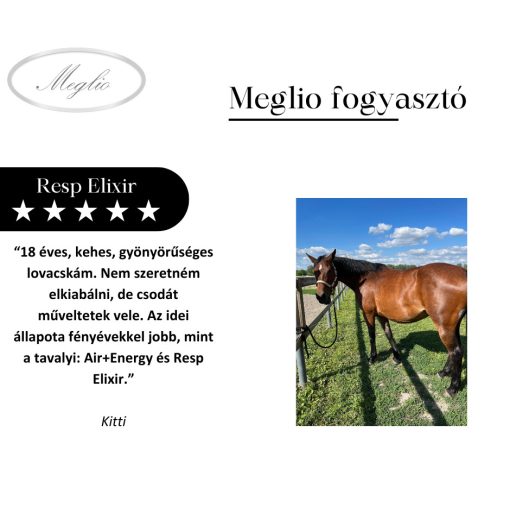 Resp Elixir légúttisztító lovaknak 500 g