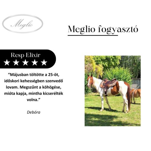 Resp Elixir légúttisztító lovaknak 500 g
