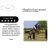 Resp Elixir – Respiratory Cleanser for Horses