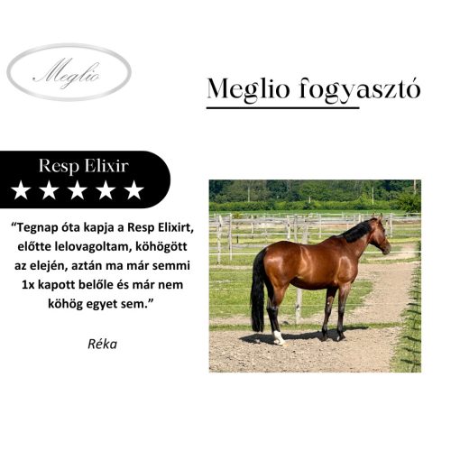 Resp Elixir – Respiratory Cleanser for Horses