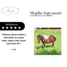 Multihorse mangime complementare multivitaminico per cavalli