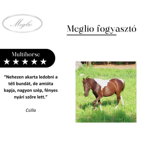 Multihorse mangime complementare multivitaminico per cavalli