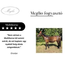 Multihorse mangime complementare multivitaminico per cavalli