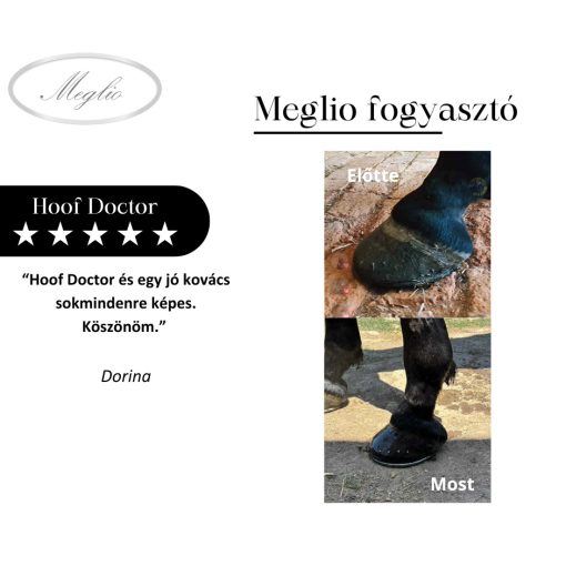 Hoof Doctor tonico erboristico per il supporto dello zoccolo per cavalli con biotina