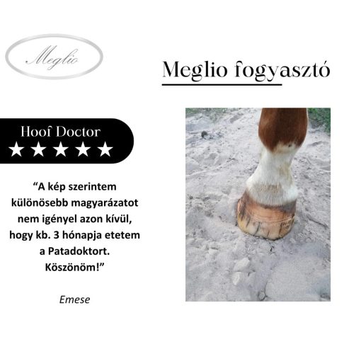 Hoof Doctor tonico erboristico per il supporto dello zoccolo per cavalli con biotina