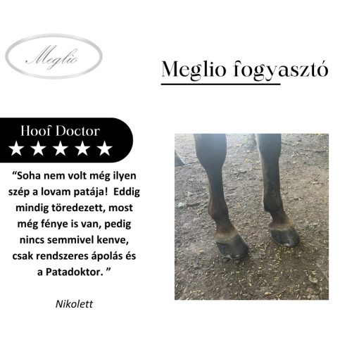 Hoof Doctor tonico erboristico per il supporto dello zoccolo per cavalli con biotina