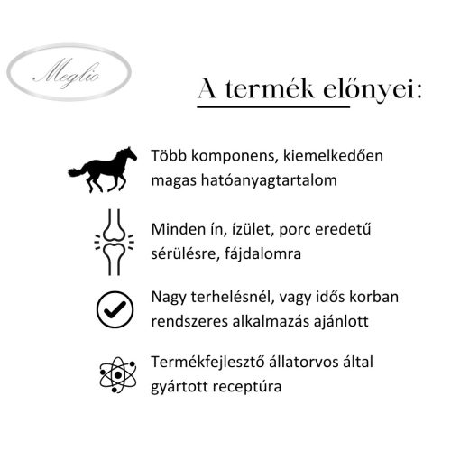 Joint Guard – Advanced Joint Support for Horses