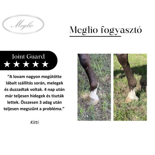 Joint Guard – Advanced Joint Support for Horses