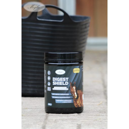 Digest Shield – Gastric Protector & Antacid for Horses